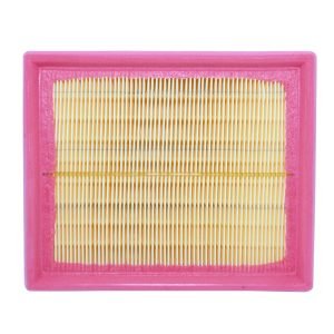 Filtro Aire Peugeot  206 1.4 1.6 Stp 20360