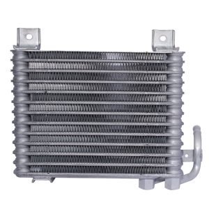 Enfriador Aceite Hyundai H100 Porter Ii 05/
