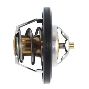 Termostato Dw Racer/heaven/pointer 87ª Echlin