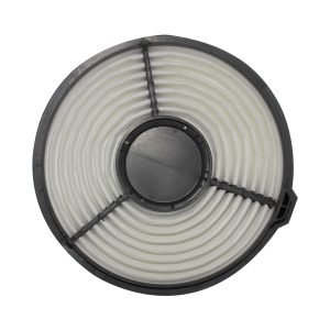 Filtro Aire Suzuki Maruti  800 95/09